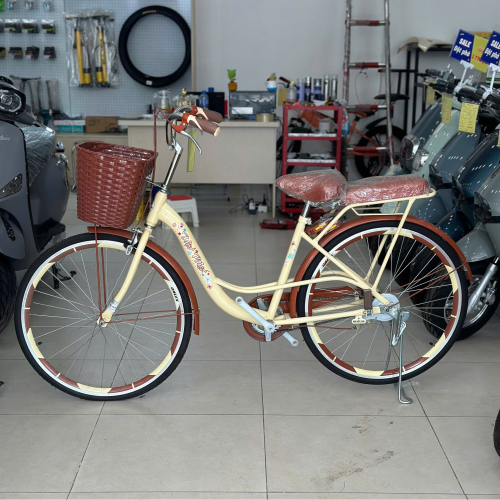 Xe đạp Mini Việt Nhật