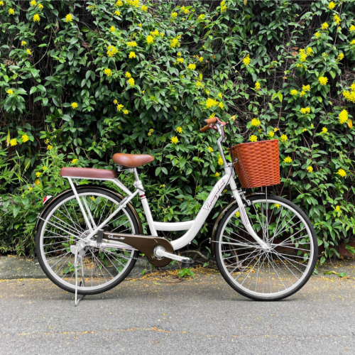 Xe đạp Mini Thống Nhất