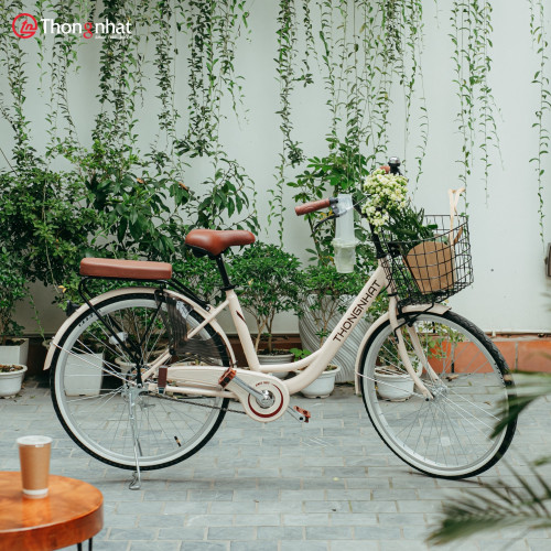 Xe đạp Mini Thống Nhất LD